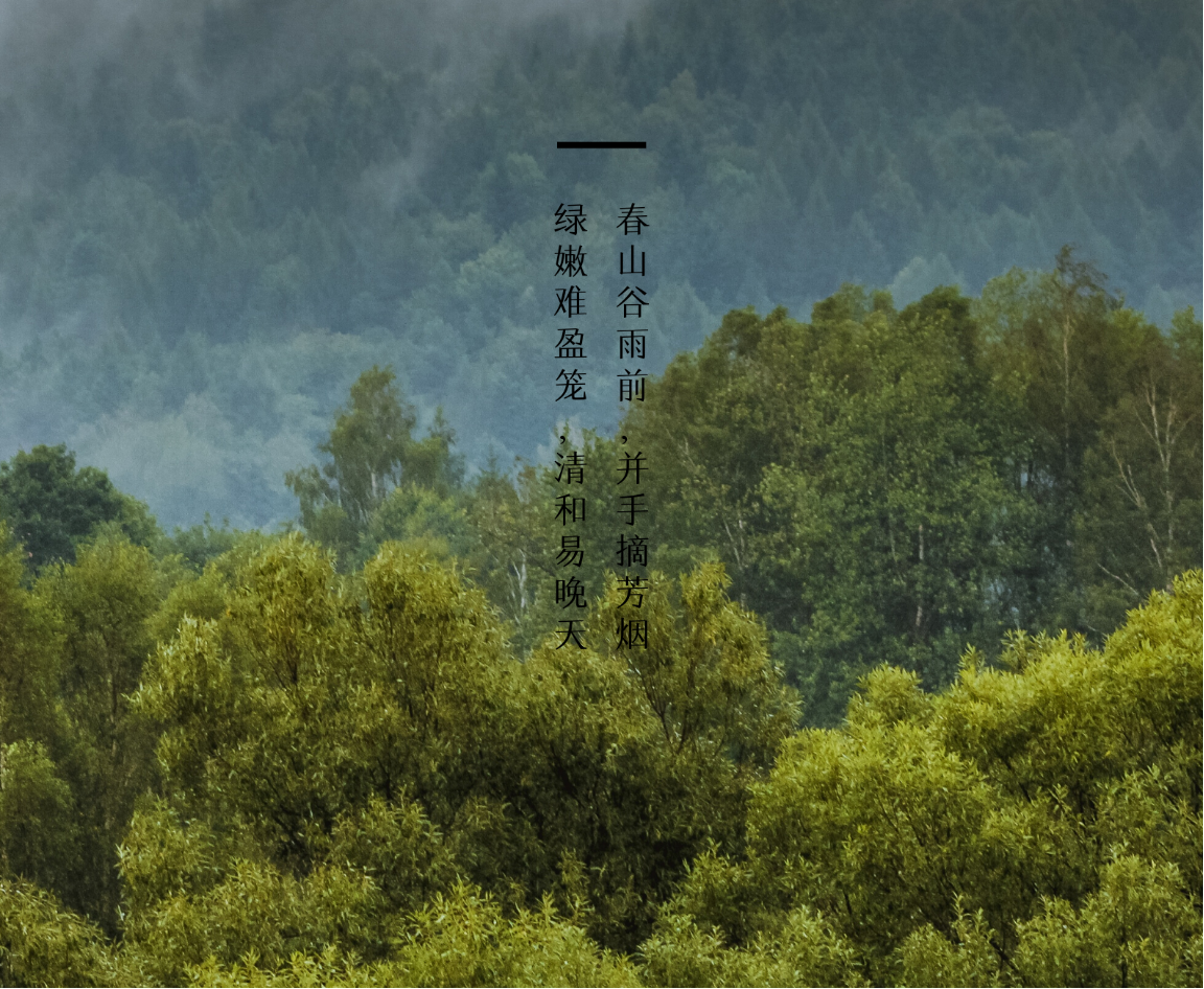 senlin.com通过有名网六位数成交！